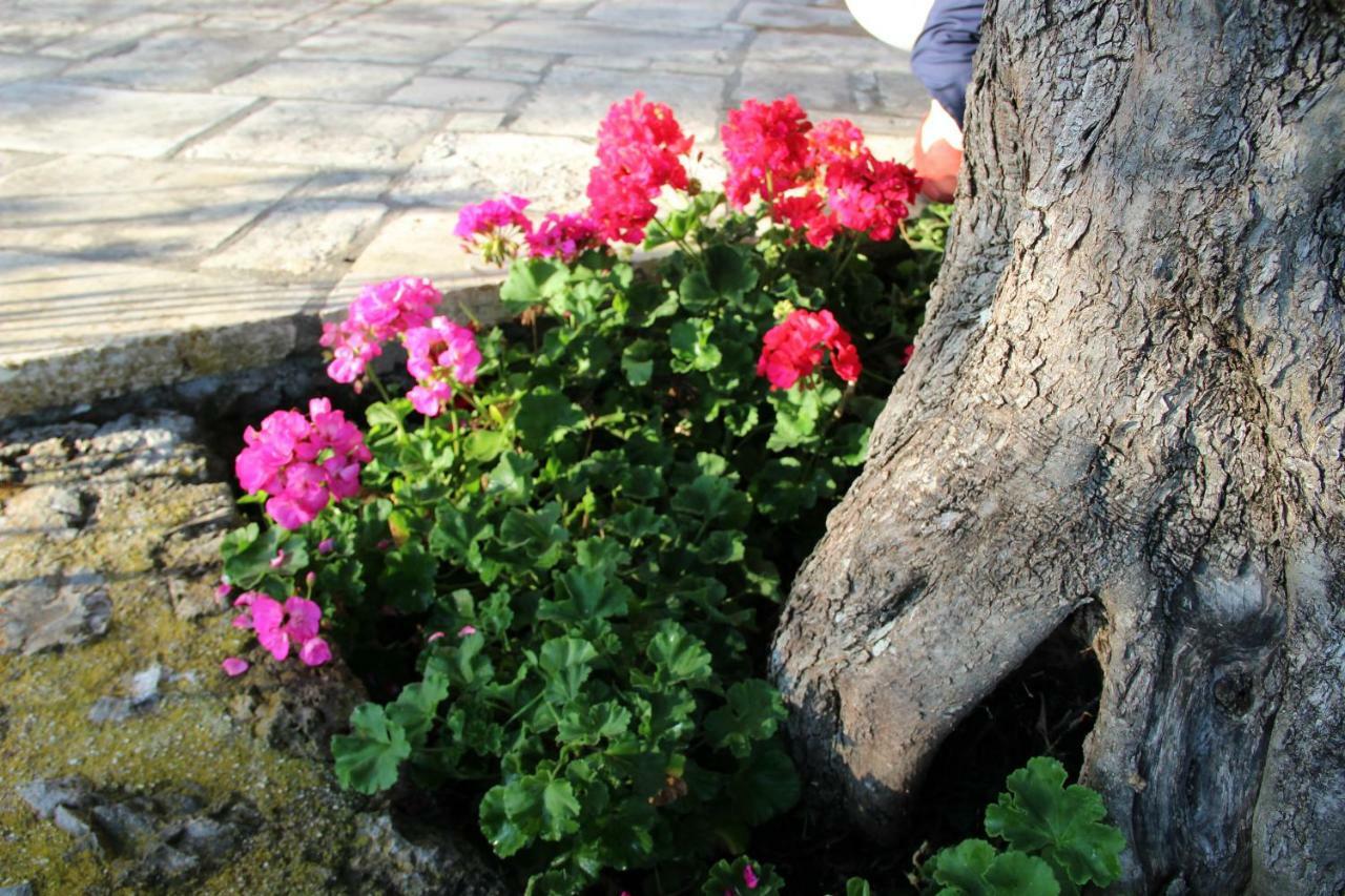 Ágios Ioánnis Stone Rose Villa מראה חיצוני תמונה